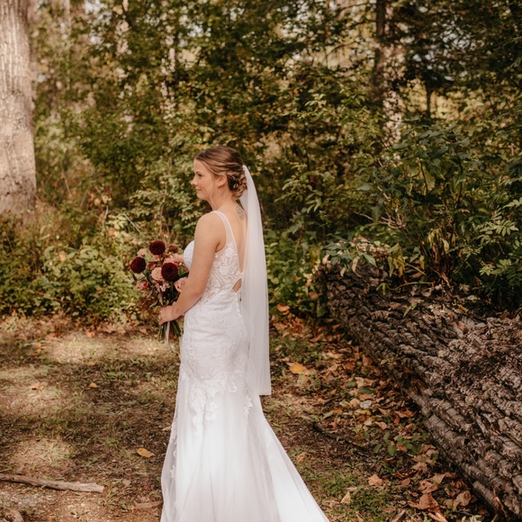 Wedding Dress - Picture 3 of 3